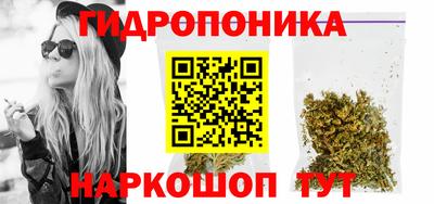 трава Кинель
