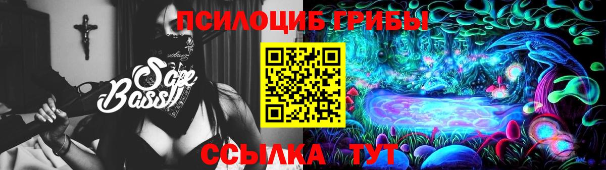 Галлюциногенные грибы Magic Shrooms  Вход с VPN  Черняховск  Псилоцибиновые грибы MAGIC MUSHROOMS 