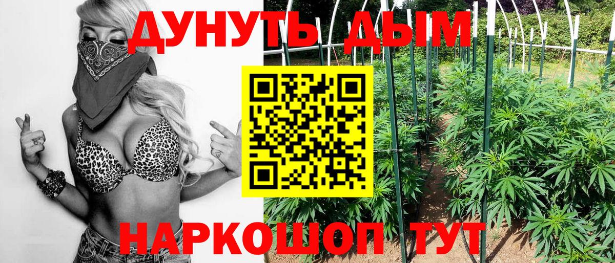 Черняховск  Шишки марихуана конопля  Вход с VPN  Шишки марихуана THC 21%  Бошки Шишки SATIVA & INDICA 
